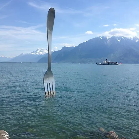 Aparthotel De L'hotel De Vevey